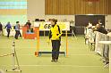 GMJ_3312