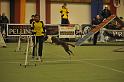 GMJ_3395