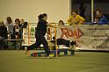 GMJ_3419