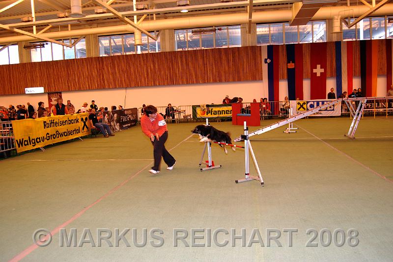 DSC_0104.jpg