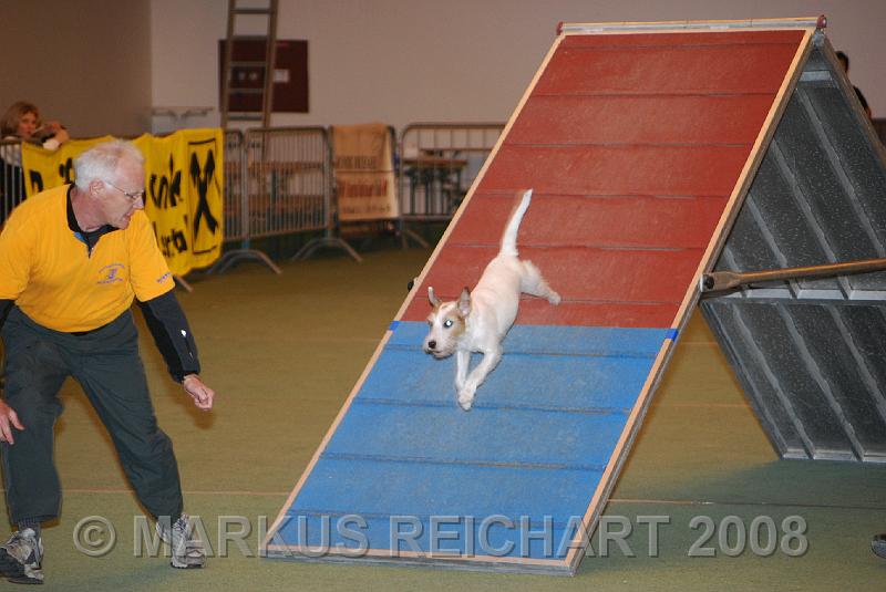DSC_0308.jpg