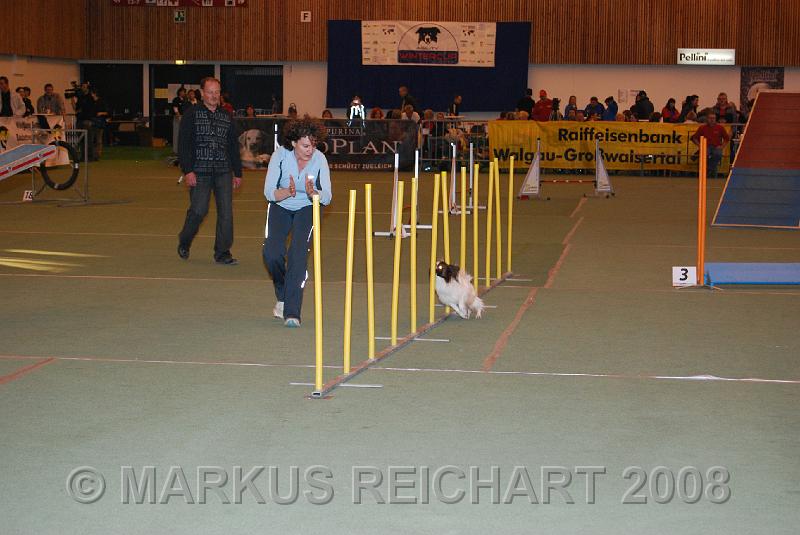 DSC_0333.JPG