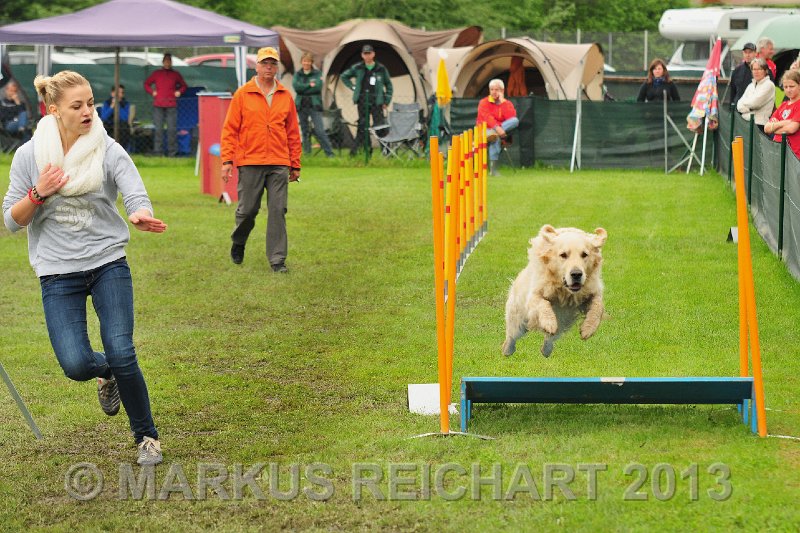 MGR_7019.jpg - M G REICHART