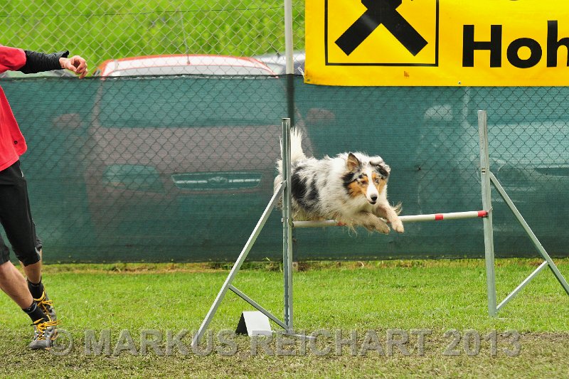 MGR_7056.jpg - M G REICHART