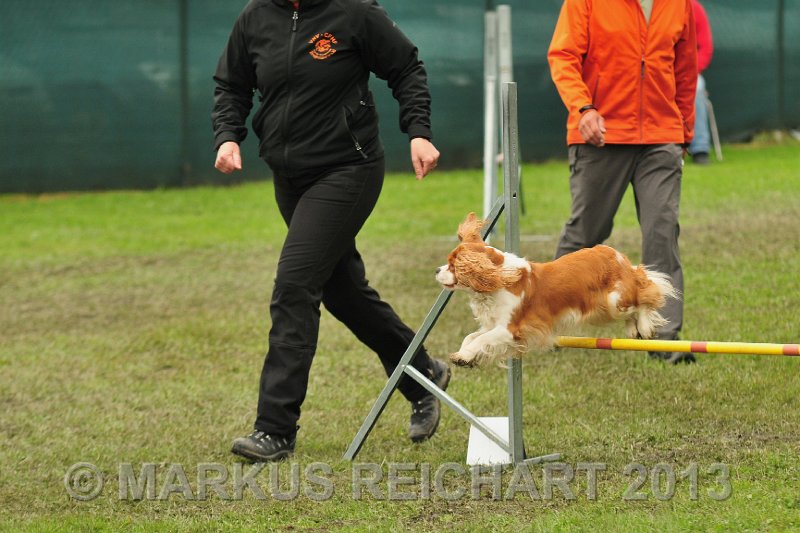 MGR_7093.jpg - M G REICHART