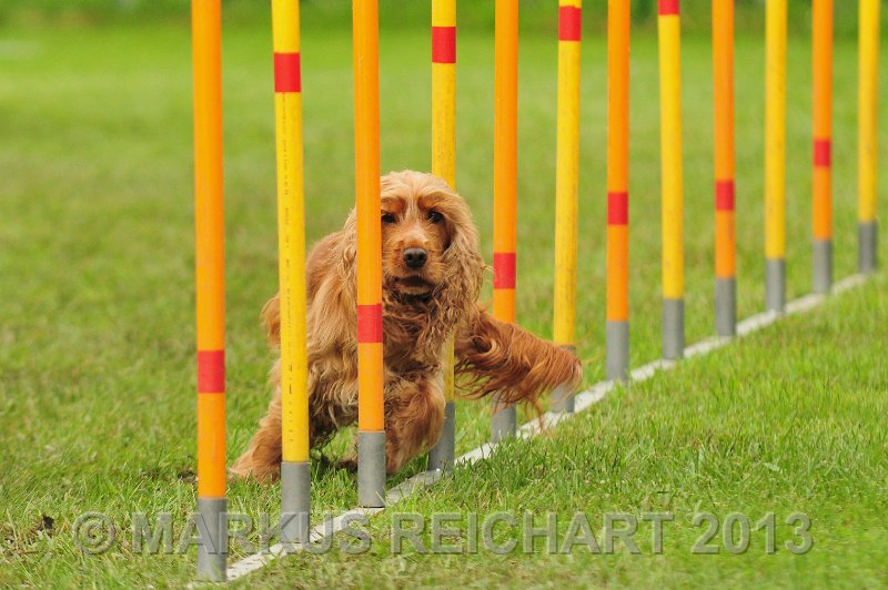 MGR_7140.jpg - M G REICHART