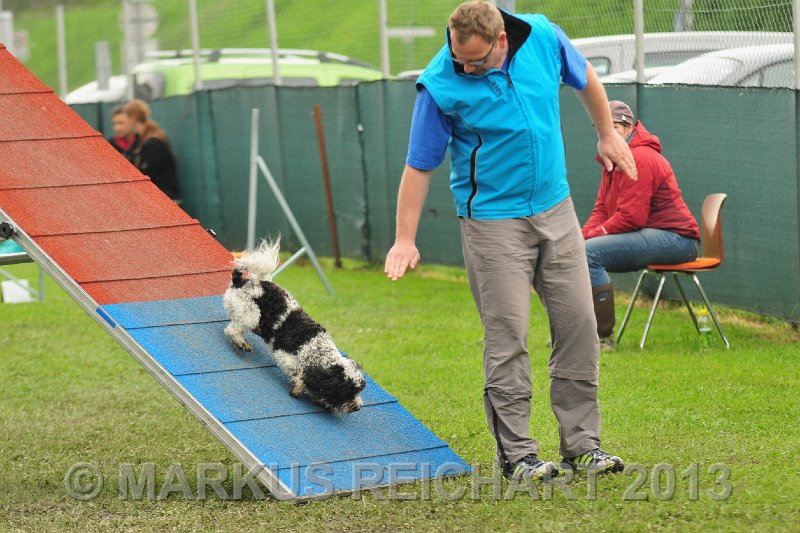 MGR_7192.jpg - M G REICHART