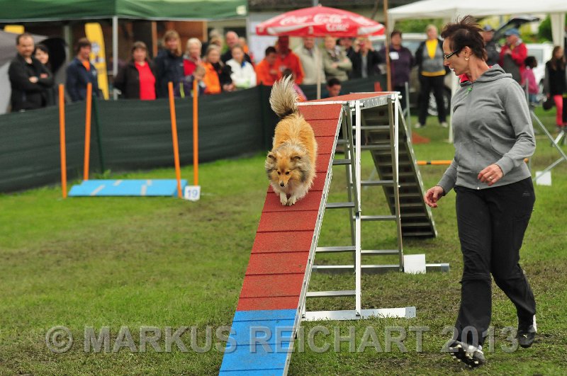 MGR_7227.jpg - M G REICHART