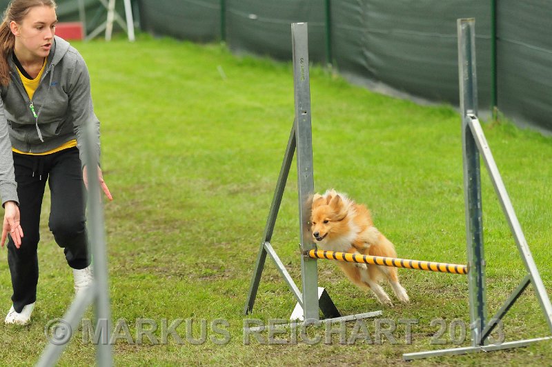 MGR_7264.jpg - M G REICHART