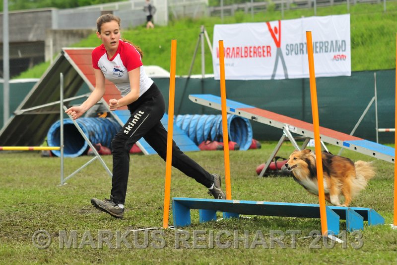 MGR_7271.jpg - M G REICHART