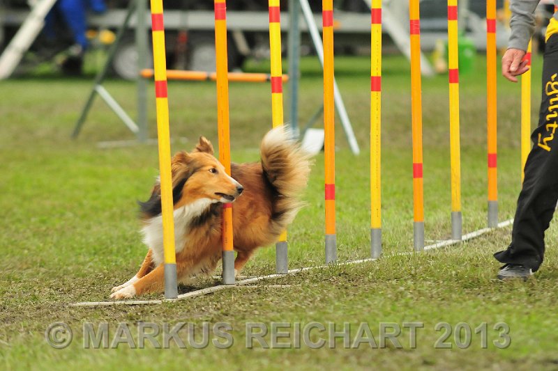 MGR_7283.jpg - M G REICHART