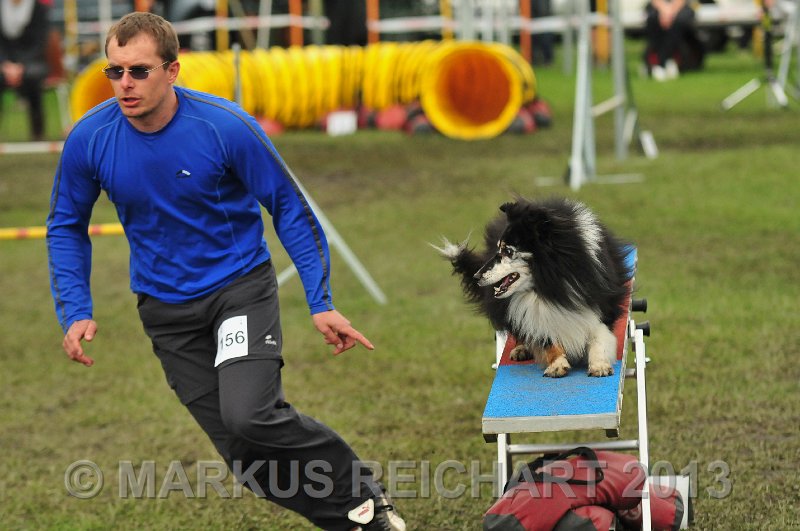 MGR_7313.jpg - M G REICHART