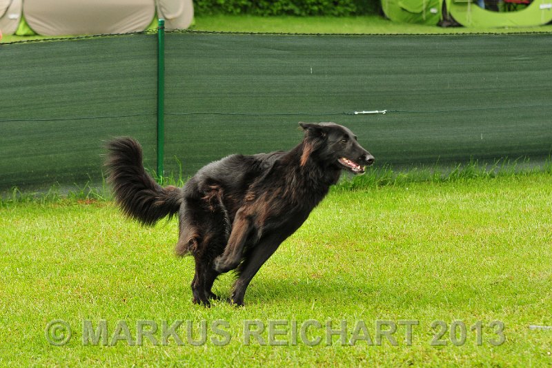 MGR_7354.jpg - M G REICHART