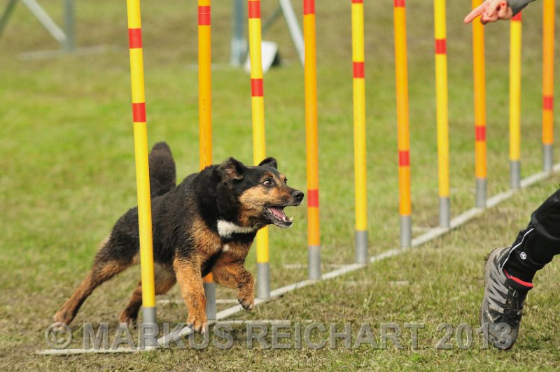 MGR_7364.jpg - M G REICHART