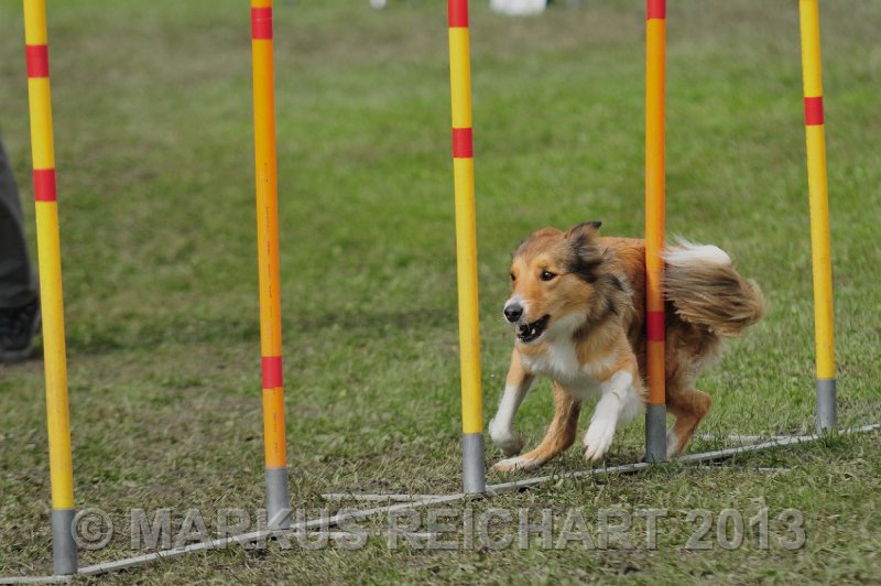 MGR_7397.jpg - M G REICHART