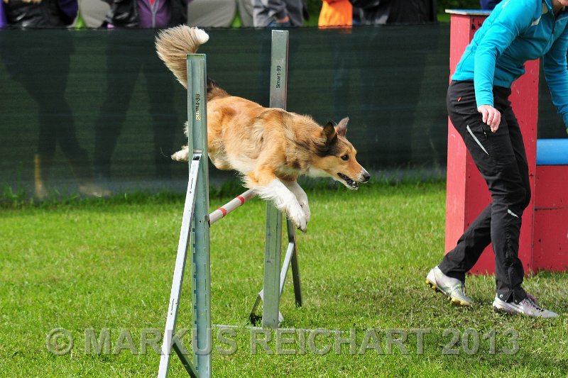 MGR_7408.jpg - M G REICHART