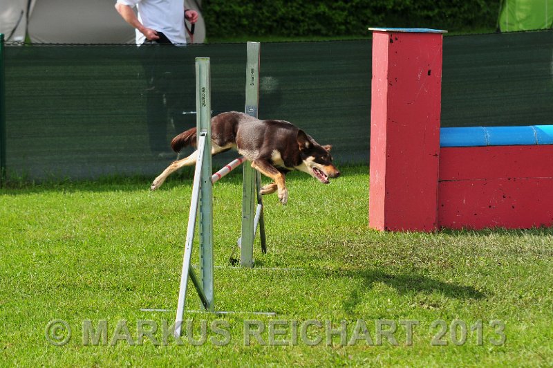 MGR_7441.jpg - M G REICHART