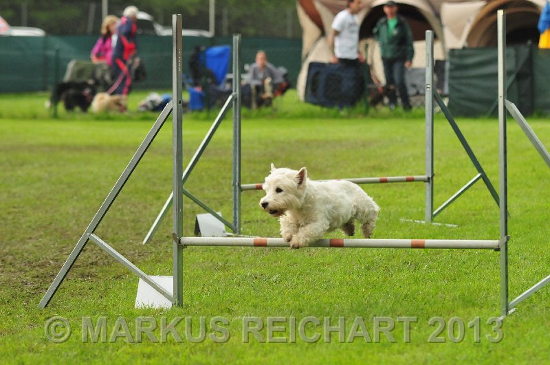 MGR_7455.jpg - M G REICHART