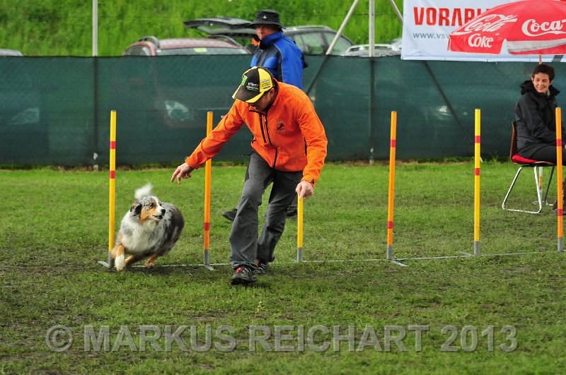 MGR_7594.jpg - M G REICHART